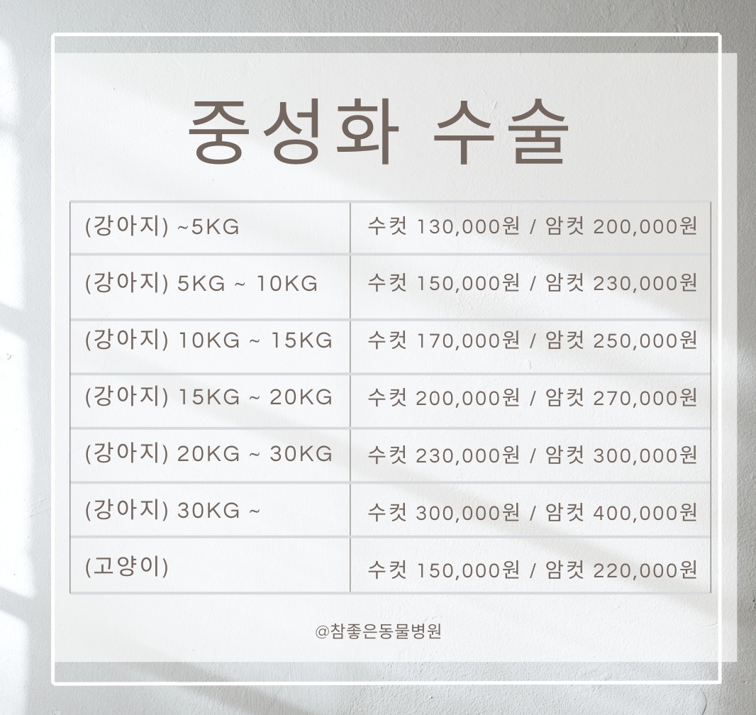 중성화수술 가격표 안내